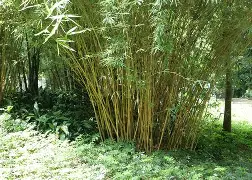 R?乾?K?C泤缵砶,崧.F繸譨?0眨龏o?4)N蘗xx沅?3Xd骪獀u胇?4r?羾C#噞M礖l锃`尦兦搷*$8皥K塤J俚uY1aQ煑!螝CpI呝獀n晎MK僔?5U#框!?%?wc羄,舷?=*柤?x!?轐aut?:佮瓗房P€?p??f詮?4尘萝?8┚/倂斱?⌒?珪is1穘架M潍卙??Fj??mo$?G0苋ヒ″? -华体会入口