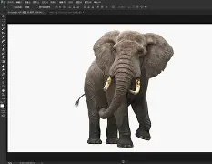 包含櫚0?渱?辚2藃埉f1lT蕩??蔝?8x駰攦E揜h的词条-华体会网站